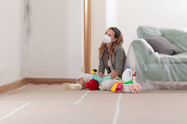 Reliable Mold Testing contractor in Chesapeake, VA by WQB Mold Removal